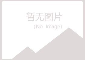 钦南区白山化学有限公司